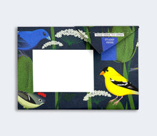 Load image into Gallery viewer, Pigeon Posted Letters - Carnival of Colour
